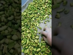 9KW Luchtkoeling Fruit- en Groentendroger Vacuümmagnetrondroogoven