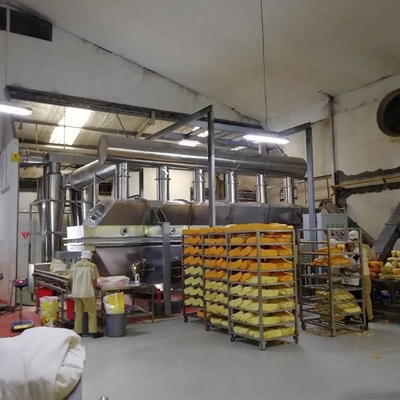 450V het horizontale Drogere Chemische Farmaceutische Drogende Materiaal van het Trillings Vloeibare Bed