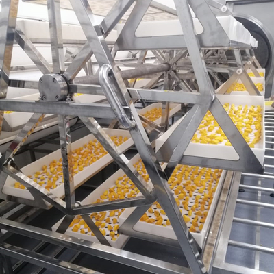 24KW de commerciële Oven van het de Mangodehydratatietoestel van de Microgolf Vacuüm Drogere Ananas