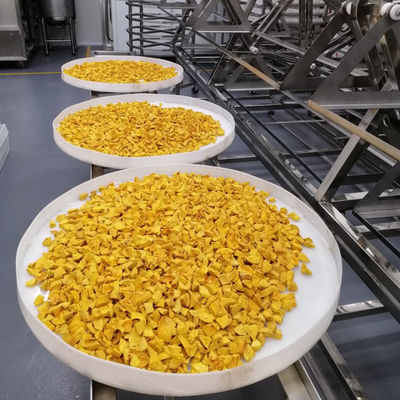 OEM ODM Industriële Tropische het Fruit Droogoven van de Microgolf Vacuüm Drogere Avocado