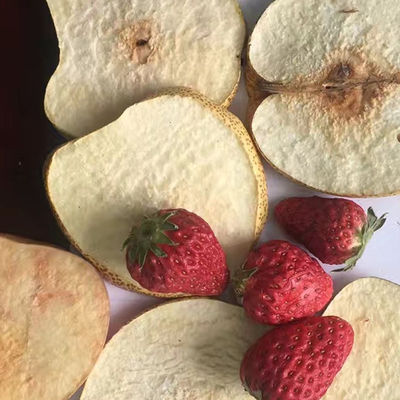 De Vorst Drogere PLC van Jackfruit van de yoghurtaardbei Vacuümaardappel Chips Drying Machine