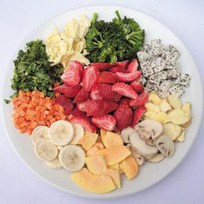 Van de de Drogende Machine Grote Automatische Vorst van de onmiddellijk Voedsel de Plantaardige Rijst Droge Luchtledige kamer