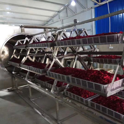 38.4-48kg/H microgolf Vacuümdehydratatietoestel 304 de Droogoven van het Roestvrij staalfruit